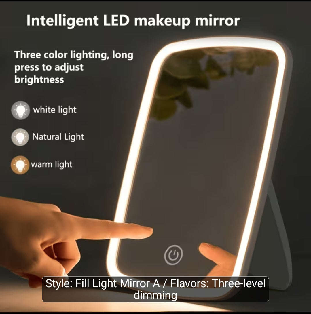 LED light make up mirror